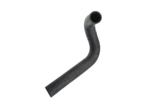 Lower Dayco Curved Radiator Hose Radiator Hose fits Dodge B1500 1995-1998 59YFKJ - Picture 1 of 1