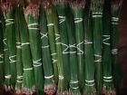 alabama long leaf pine needles   10lbs  green   14 to 17'