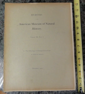 The osteology of Champsosaurus Cope By Barnum Brown 1905 Fold out plates - Foto 1 di 17