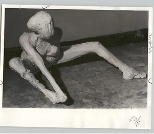 ESCULTURA del ARTISTA Manuel Neri DE COLECCIÓN San Francisco 1971 Foto de Prensa - Imagen 1 de 2