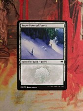 MTG Card :  Snow-Covered Forest (284)