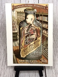 Dr. Kilmer's Standard Herbal Remedies Advertising Postcard - Picture 1 of 4