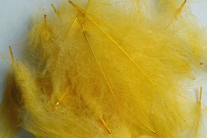 1g Plumes cul de canard (CDC) Jaune / Yellow montage mouche fly tying feather - Photo 1/1