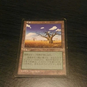 Magic: The Gathering Mirage Plain Error Card Used - Picture 1 of 3