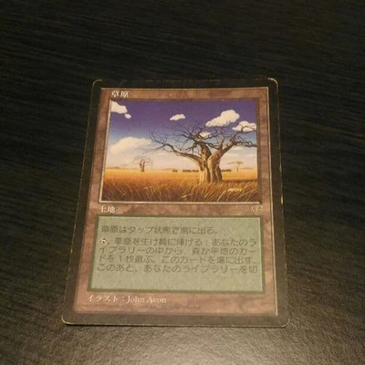 Magic: The Gathering Mirage Plain Error Card Used - Image 1 of 3