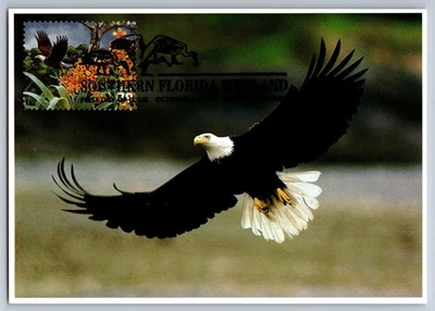 #4099d Southern Florida Wetland Bald Eagle FDC Maxi Card w/Pict Cancel - Image 1 of 2