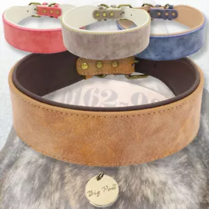 Big Paw Hundehalsband Breit mit Namen Lederhalsband Halsband Hund inkl. Tag - Bild 1 von 14