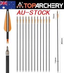 12Pcs Carbon Arrow Hunting Shooting 30" Recurve /Compound Bow SP500-550 Targets - Picture 1 of 6