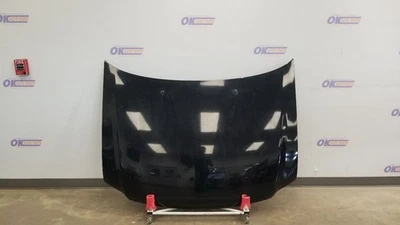 02 FORD F150 HOOD ASSEMBLY BLACK - Image 1 of 4