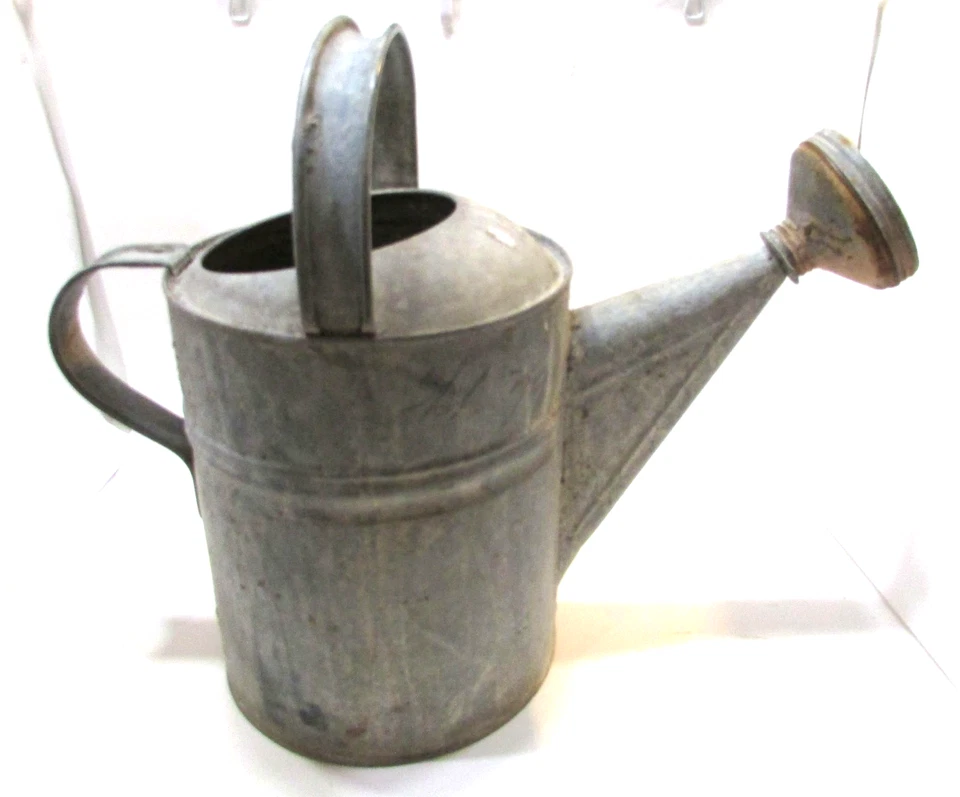 Riego de 10 flores de jardín de acero antiguo galvanizado primitivo de la década de 1930 Foto 1 de 4