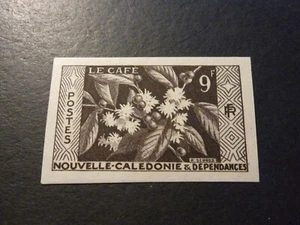 1955 New Caledonia, Essay imperf, coffee plant, mint never hinged - Foto 1 di 2
