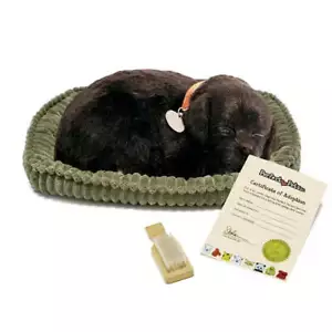 Perfect Petzzz Black Lab - #XP91-22 - Imagen 1 de 1