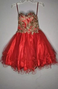 Fiesta Fashion Burgundy and Gold Jeweled Prom Homecoming Formal Dress Size S - Picture 1 of 8