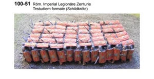 MGM 100-51 1/72 Harz römische kaiserliche Legion in Schildkrötenformation - Bild 1 von 1