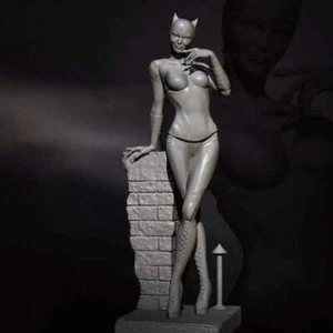 1/24 75mm Resin Superhero Model Kit Catwoman Beautiful Girl with base Unpainted - Imagen 1 de 4