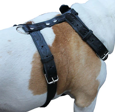 Genuine Rich Pattern Texture Leather Dog Harness 27"-37" chest Bulldog, Mastiff - Image 1 of 4