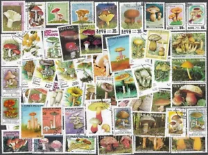 FUNGI & MUSHROOMS ON STAMPS 200 ALL DIFFERENT COLLECTION (29/4/24) - Picture 1 of 1