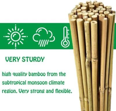 Garden Plant Sticks Support Bamboo Wooden Outdoor Professional Poles Fence Canes - Image 1 of 4