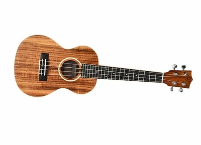 Twisted Wood AR-800S Aurora Soprano Ukulele Laminate Koa w/ Gig Bag - Image 1 of 4