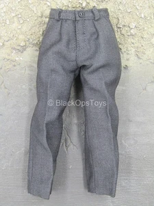 1/6 Scale Toy Harry Potter - Draco Malfoy - Adolescent Size Gray Pants - Picture 1 of 3