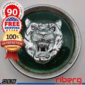 🔥JAGUAR XJ6 XJS XJ8 XK8 OEM Wheel Center Cap Silver Green Chrome Edge (One)⭐ - Picture 1 of 11