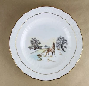 Porzellan Teller Royal Copenhagen Fauna Flora Danica - 26cm Durchmesser - Bild 1 von 3