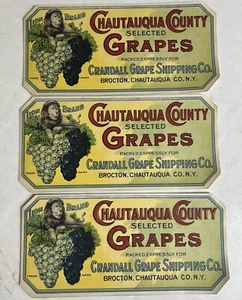 Vtg Lot 3 Concord Grapes Paper Crate Label Chautauqua CO Lion Brand Brockton NY - Picture 1 of 7