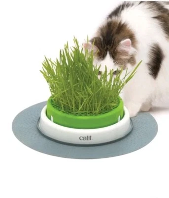 Catit Senses 2.0 Grass Planter - Image 1 of 2