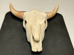Calavera de vaca toro novillo cerámica bisque SouthWest 6" - Imagen 1 de 9