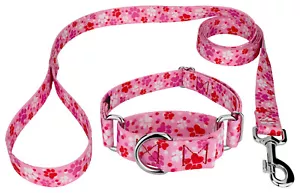 Country Brook Petz® Puppy Love Martingale Dog Collar and Leash - Picture 1 of 7