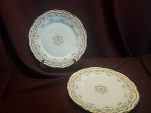 Plato de almuerzo Theodore Haviland doble oro rosa 8,5" - rosa rosa - juego de 2 - C - Imagen 1 de 12