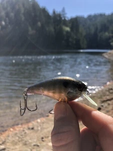 Placa de circuito personalizada Crankbait 1.5 DINGER ATLAS Squarebill Ghost Bluegill Silen - Imagen 1 de 8