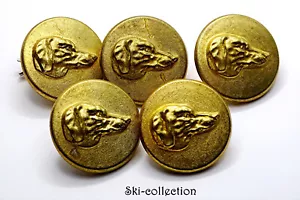 Lot 5 Boutons de Chasse. Tête de chien à droite. France, vers 1920. 25 mm - Picture 1 of 4