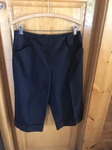 Ann Taylor Navy Blue Tailored Long Shorts Size 6 New W Tags - Picture 1 of 4