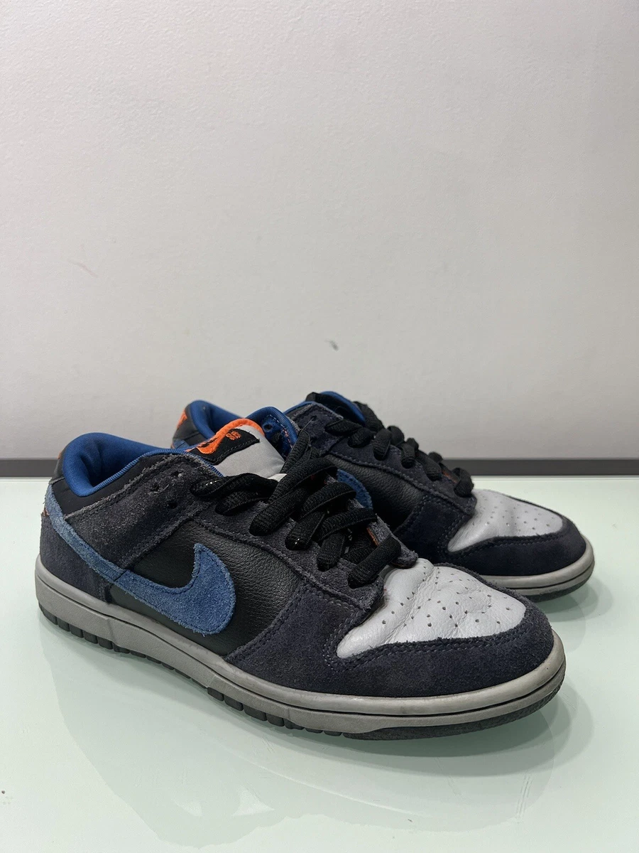 靴 DUNK LOW PRO SB PATAGONIA 27.5cm Nike SB Dunk Low Patagonia Men's - 304292-042 - US