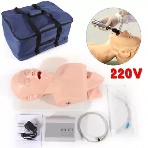 Atemwegsmanagement-Trainer Studie Erwachsene orale Intubationspuppe Lehrmodell NEU - Bild 1 von 19