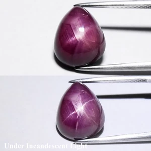 💎 9,23ct Birne Natur Purpur Rot 6 Strahlen Stern Rubin - Unbeheizt, Mosambik Edelstein - Bild 1 von 6