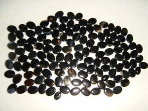 BLACK ONYX 6 X 8 MM OVAL CABOCHON PARCEL 152 CARATS - Picture 1 of 8