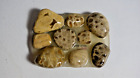 Petoskey Stone Pebbles Rock Soap Dish Handmade for Kitchen Shower and Bathroom