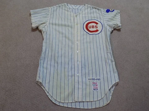 Ernie Banks Vintage Game Jersey 1968 Chicago Cubs HOF Cover