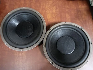 Pair Polk Audio Passive Radiators 10" - Foto 1 di 2