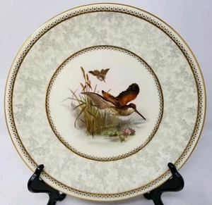 Royal Worcester Porcelain Dinner Plate with Birds c.1888 - Picture 1 of 8