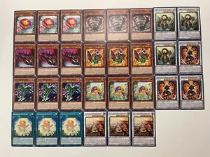 Naturia and insect deck core (DABL, PHHY, common) 30 cards - Picture 1 of 3