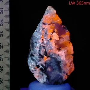 Afghanite Phlogopite Diopside Gonnardite Calcite fluorescent Afghanistan 500ct - Picture 1 of 12