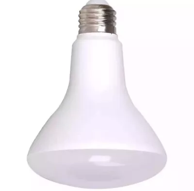 Simply Conserve 100-Watt Equivalent R40 Dimmable Warm White 25000-Hour - Image 1 of 4