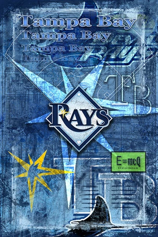 Tampa Bay Rays 12x18inch Poster Tampa Bay Rays Cards Baseball Free Shipping Us Cover
