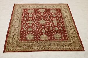 6'5" x 6'7" ft. Oushak Vegetable Dye Traditional Hand Knotted Oriental Area Rug
