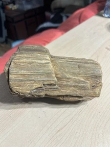 Legno pietrificato molto pesante - Foto 1 di 6
