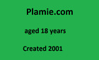Plamie.com 2001 AGED 18 YEARS TLD Business  App Game Name Facebook 