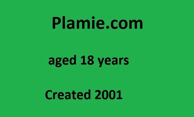 Plamie.com 2001 AGED 18 YEARS TLD Business  App Game Name Facebook  - Image 1 of 1